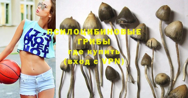 мет Абаза