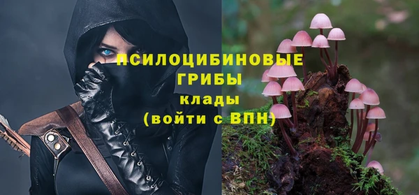 apvp Алзамай