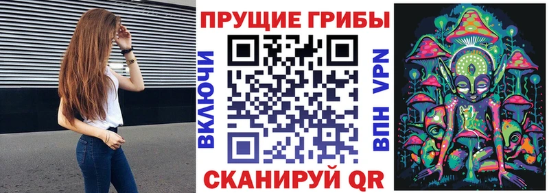 Псилоцибиновые грибы мухоморы  сколько стоит  Инта 
