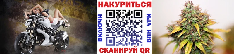 Бошки марихуана OG Kush Инта